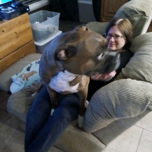 **Please Read** - Picture 1 of 2